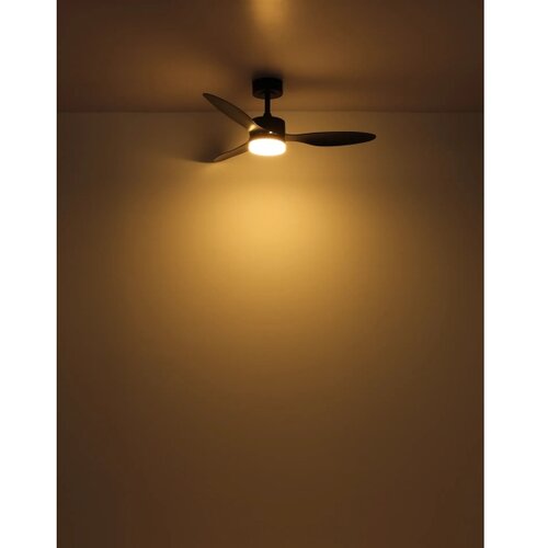 Globo 03608 - LED prigu&amp;scaron;iva plafonski ventilator BLACKWELL LED/20W/230V + daljinski upravljač Slike