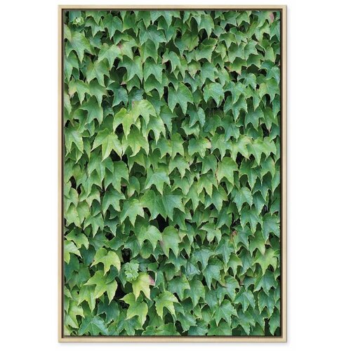  Slika - Thick Ivy (1 Part) Vertical 60x90 Slike