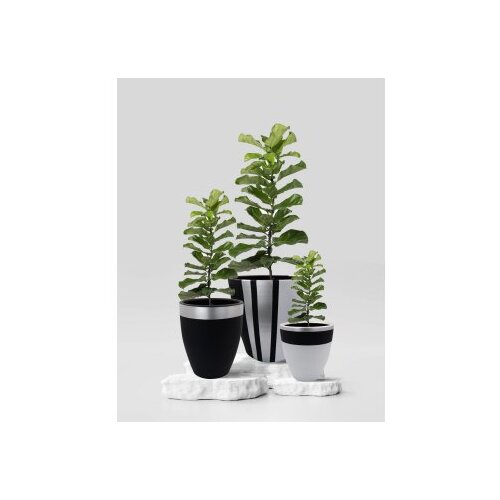 WALLXPERT decorative pot pietra 3 black grey Slike