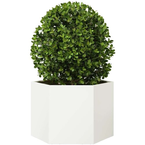 VidaXL Vrtna sadilica bijela &amp;scaron;esterokutna 69x60x45 cm čelična Slike