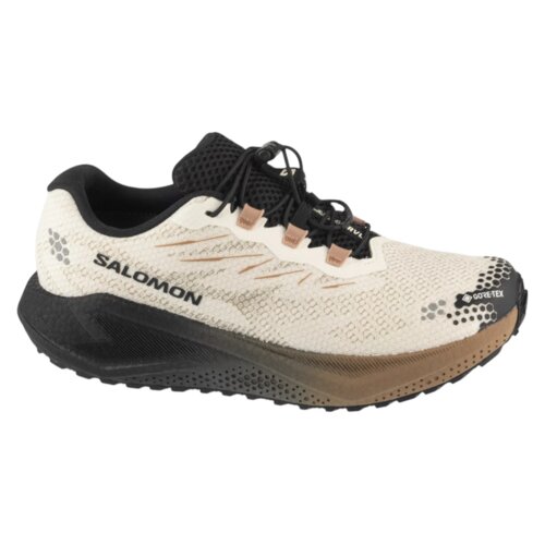 Salomon aero blaze 4 grvl gtx l45403200 Slike