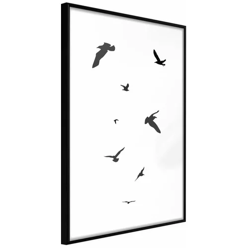  Poster - Birds 30x45