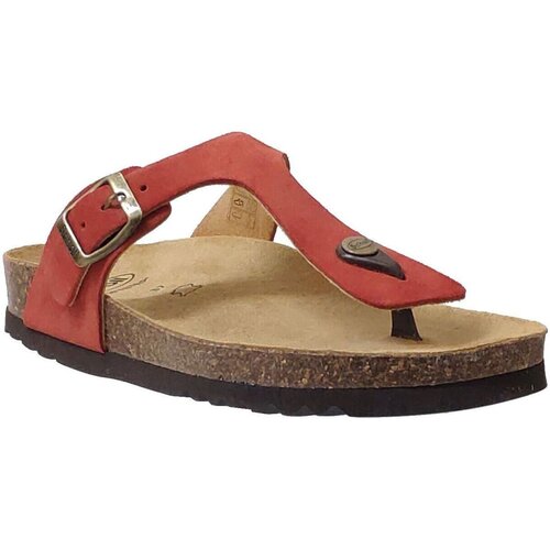 Scholl Japonke Nicole Cene