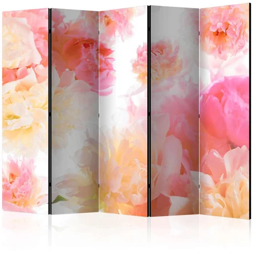  Paravan u 5 dijelova - Pastel peonies II [Room Dividers] 225x172