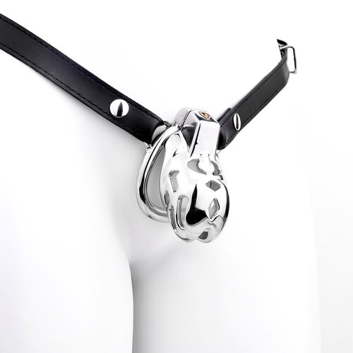 Kiotos Chastity Device Modern with Belt Slike