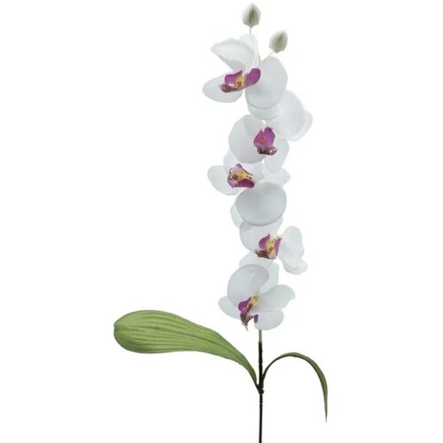 Di.Mo veštački cvet orhideja 74cm, bela Slike