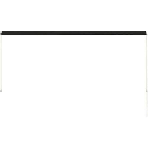  Tenda na uvlačenje 300 x 150 cm antracit Slike