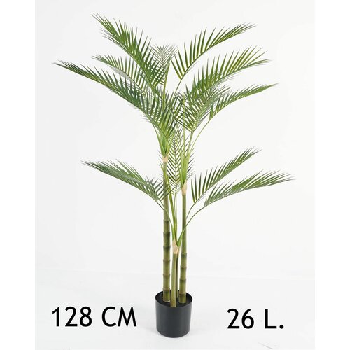 Lilium dekorativna palma areka 130cm 567275 Slike