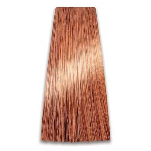 Prosalon Farba za kosu COLORART - Svetlo bakarno plava 9/04 100g Slike