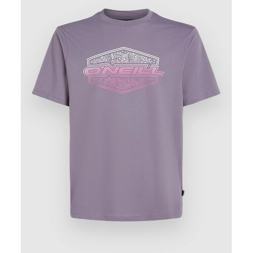 O&amp;#039;neill Gradient T-shirt storm Slike