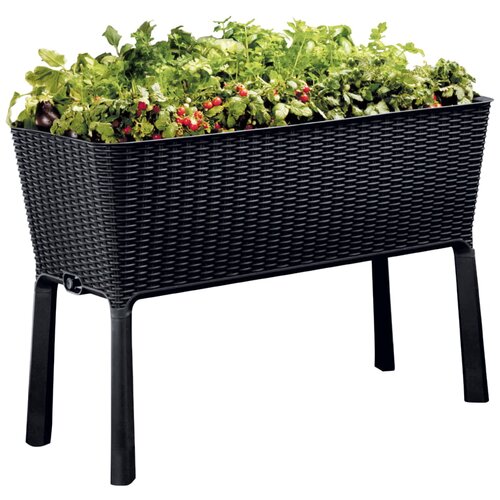 Keter Visoka greda EasyGrow (114 x 50 x 76 cm, 120 l) Cene