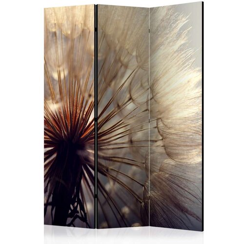  Paravan u 3 dijela - Dandelion Kiss [Room Dividers] 135x172 Cijene