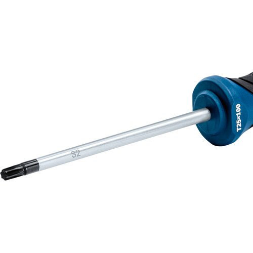 Bosch Vijačnik Izvijač TX25, 100 mm Slike