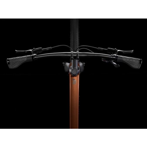  Bicikl Trek Dual Sport 3 Gen 5 2024 Pennyflake - L Cijene