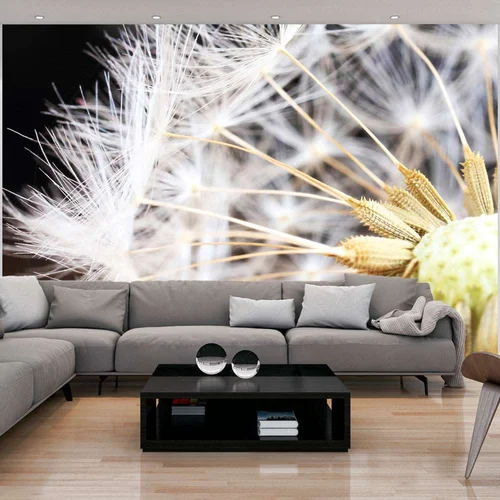  Tapeta - Fluffy dandelion 350x245