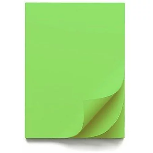  Šeleshamer papir B1, 220 g, 10 listov, zelen