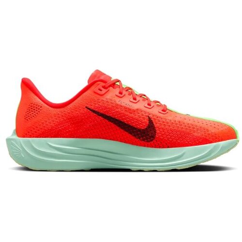 Nike Pegasus plus Cene