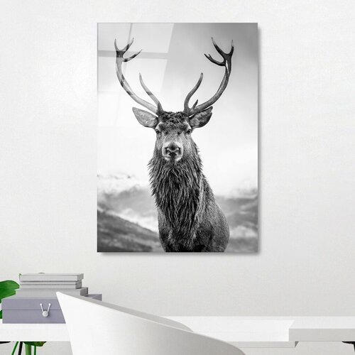 Wallity Image UV-455, 50 x 70 cm Cene