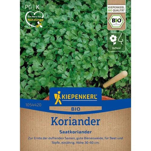 KIEPENKERL BIO koriander - 1 pkt.