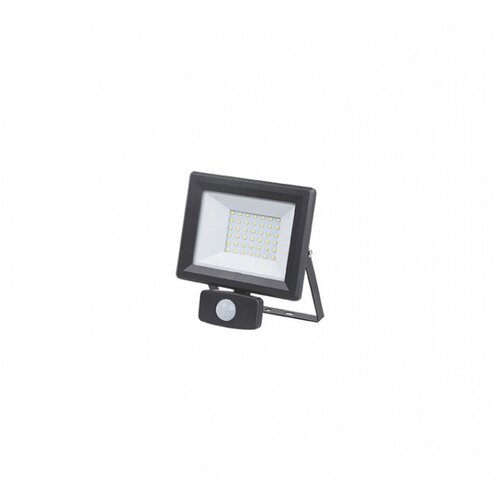 E-light LED REFLEKTOR SA SENZOROM 30W 6400K CRNI Slike