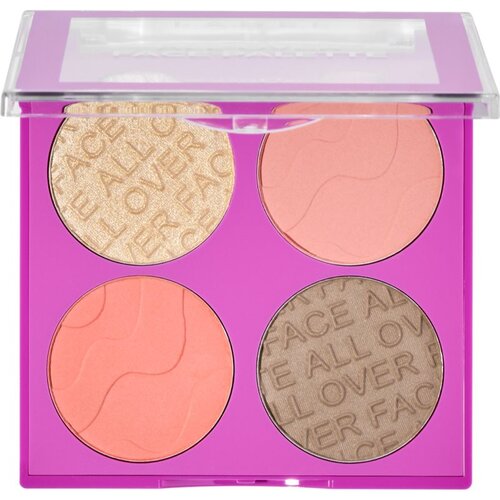 LAMEL All-Over Face Palette paleta za celoten obraz odtenek 01 11.5 g Slike