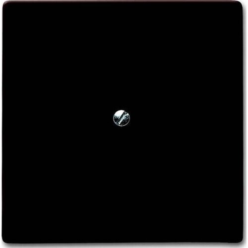 Busch-Jaeger Slepi centralni disk br 2138-31, (20891485) Cene