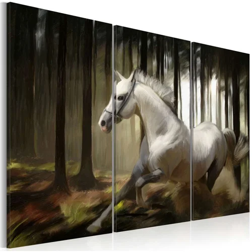  Slika - A white horse in the midst of the trees 120x80