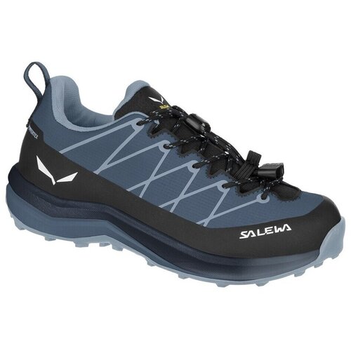 Salewa Wildfire 2 Ptx Plava Slike