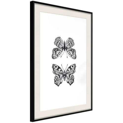  Poster - Butterfly Collection I 20x30