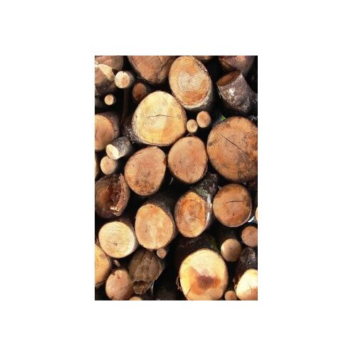 Conceptum Hypnose tepih staza (80x200) Hmnt550 Cene