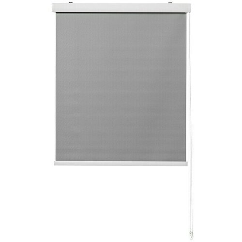 EXPO AMBIENTE Rolo (&amp;Scaron; x V: 120 x 175 cm, Sive boje) Slike