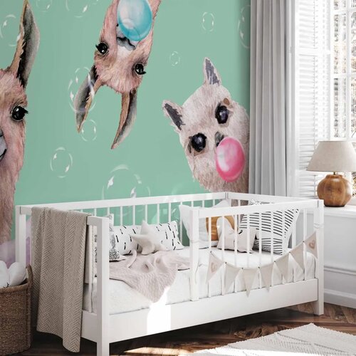  Foto tapeta - Crazy Llamas 200x140 Premium Slike