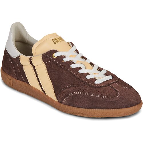 Caval PULSE COCO CRUSH Smeđa Slike