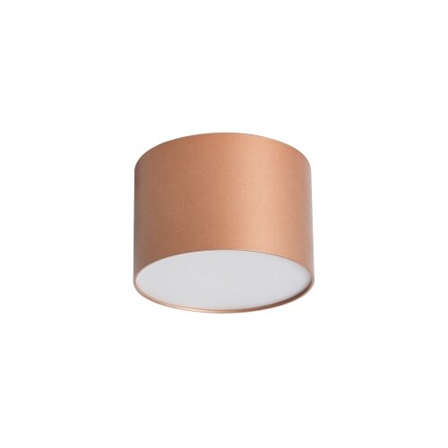 Brilagi Stropno svetlo za kupatilo FORIS LED/9W/230V prečnik 9 cm bronzana IP44 Slike