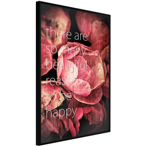  Poster - Many Reasons to Be Happy 20x30 Slike