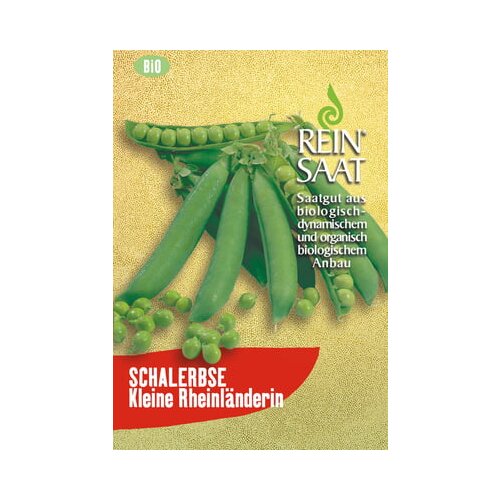 ReinSaat Grah "Mali Rhinelander" Cene