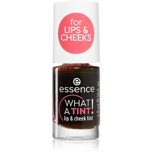 Essence WHAT A TINT! tekoče rdečilo in sijaj za ustnice 4,9 ml Cene
