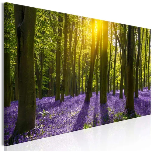  Slika - Hyacinth Field (1 Part) Narrow 120x40