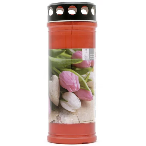 Premium Lampion Tulipan (Crvene boje)
