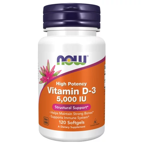 Now Foods Vitamin D3 NOW, 125 µg / 5000 IE (120 kapsul)