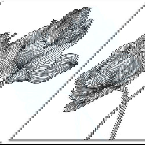 Pintdecor Zidni ukras Fiore a righe Cijene