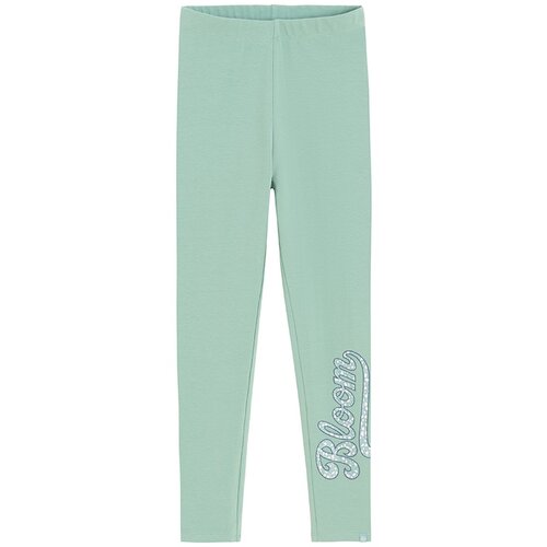 Cool club pajkice DH CCG3021309 D zelena 134 Slike