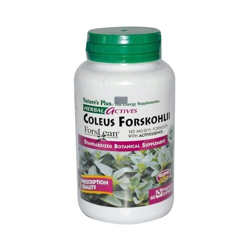 Herbal aktiv Coleus Forskohlii - indijska kopriva - 60 veg. kapsule Cijene