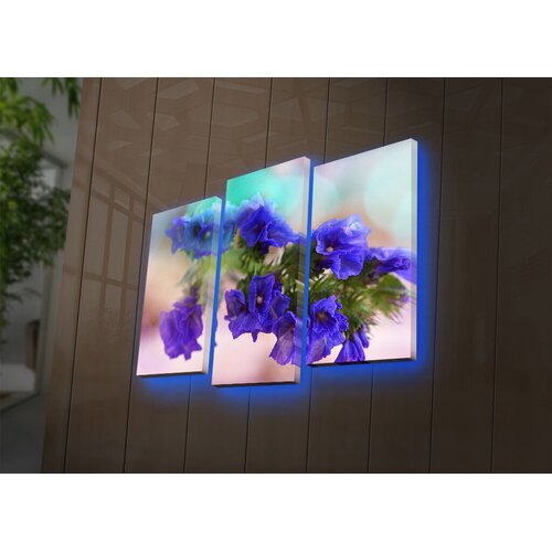 Wallity Set slika sa LED rasvjetom 3PATDACT-20, 3 dijela Cijene