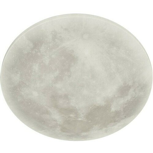Trio Leuchten Okrugla stropna LED svjetiljka (40 W, Ø x V: 600 mm x 12 cm, Sive boje) Cijene