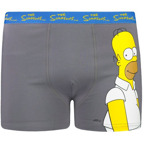 Character Moške boksarice Simpsons 1P Cene