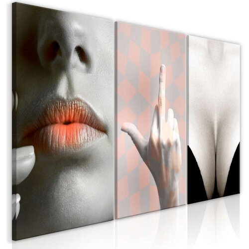  Slika - Femininity (3 Parts) 120x60 Cijene