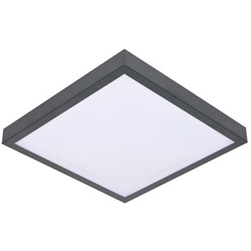  LED plafonsko svetlo sa senzorom VITALI LED/24W/230V 4000K Cene