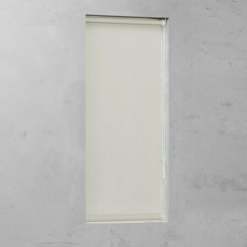 EXPO AMBIENTE Plissee zavjesa (Š x V: 60 x 130 cm, Bež boje) Cijene