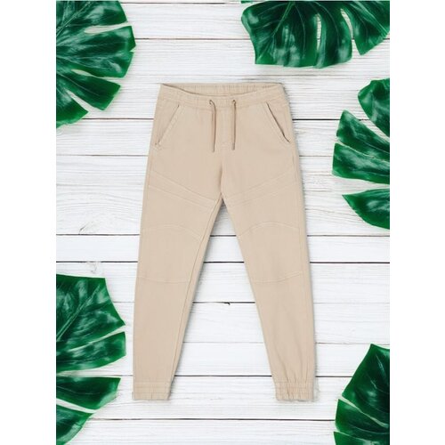 Sinsay muške jogger hlače 531AW-08X Cijene